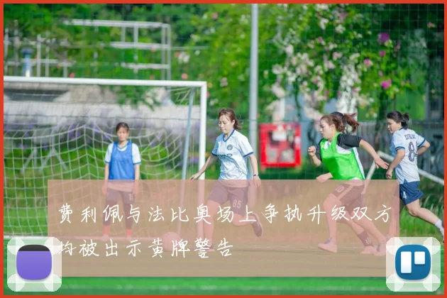 费利佩与法比奥场上争执升级双方均被出示黄牌警告
