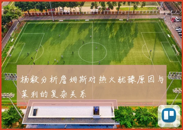 杨毅分析詹姆斯对热火犹豫原因与莱利的复杂关系